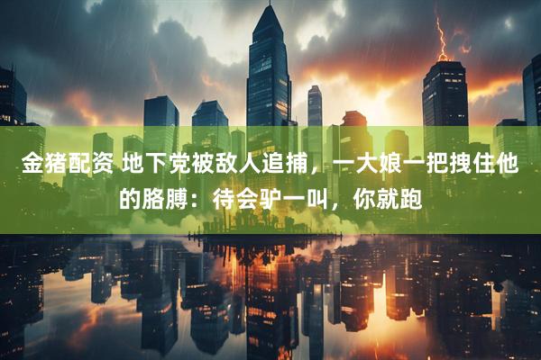 金猪配资 地下党被敌人追捕，一大娘一把拽住他的胳膊：待会驴一叫，你就跑