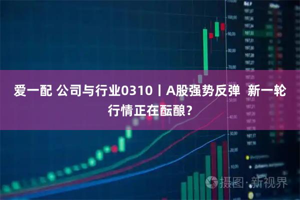 爱一配 公司与行业0310丨A股强势反弹  新一轮行情正在酝酿？