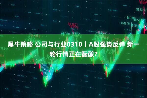 黑牛策略 公司与行业0310丨A股强势反弹 新一轮行情正在酝酿？