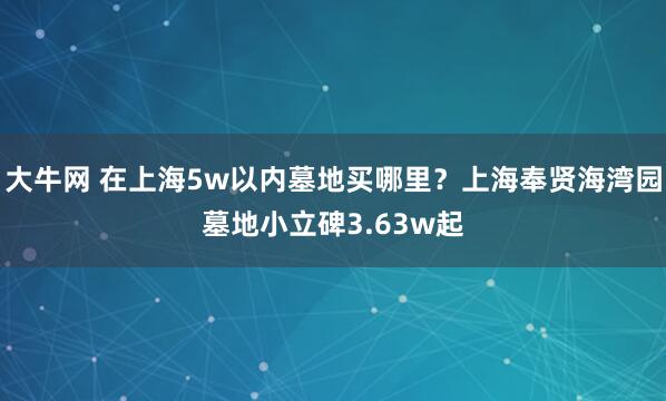 大牛网 在上海5w以内墓地买哪里？上海奉贤海湾园墓地小立碑3.63w起