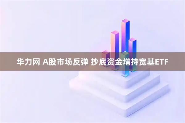 华力网 A股市场反弹 抄底资金增持宽基ETF