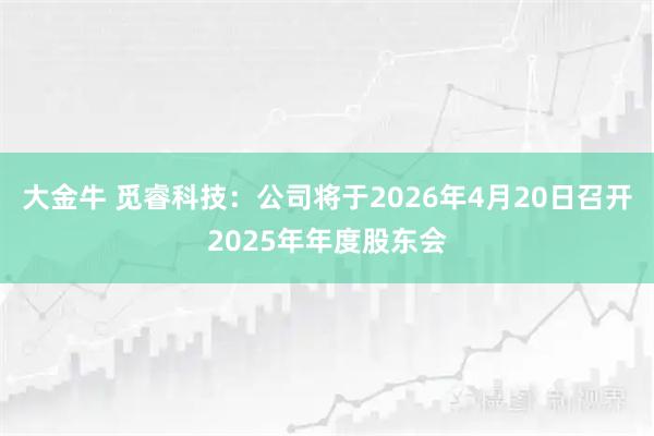 大金牛 觅睿科技：公司将于2026年4月20日召开2025年年度股东会