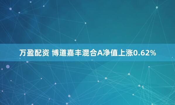 万盈配资 博道嘉丰混合A净值上涨0.62%