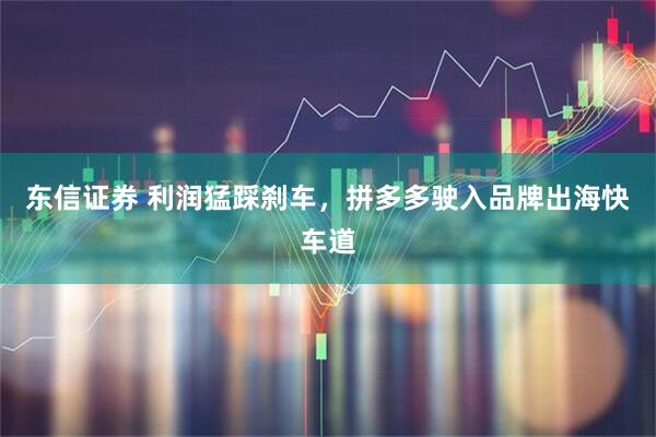 东信证券 利润猛踩刹车，拼多多驶入品牌出海快车道