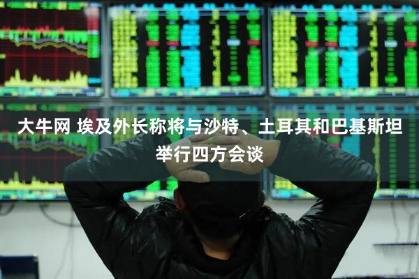大牛网 埃及外长称将与沙特、土耳其和巴基斯坦举行四方会谈