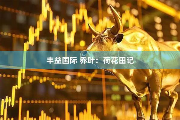 丰益国际 乔叶：荷花田记