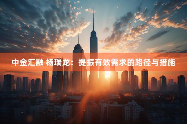 中金汇融 杨瑞龙：提振有效需求的路径与措施