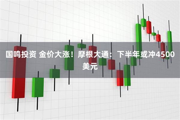 国鸣投资 金价大涨！摩根大通：下半年或冲4500美元