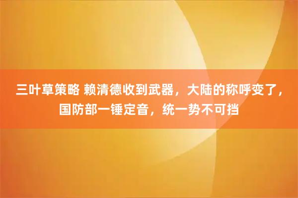 三叶草策略 赖清德收到武器，大陆的称呼变了，国防部一锤定音，统一势不可挡