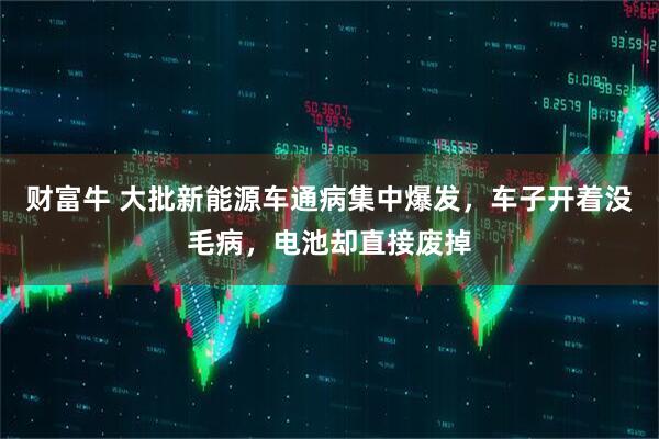 财富牛 大批新能源车通病集中爆发，车子开着没毛病，电池却直接废掉