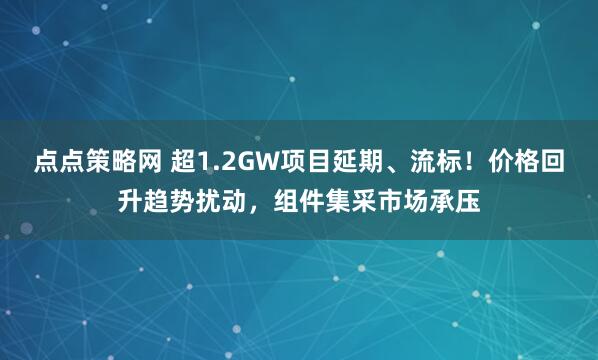 点点策略网 超1.2GW项目延期、流标！价格回升趋势扰动，组件集采市场承压
