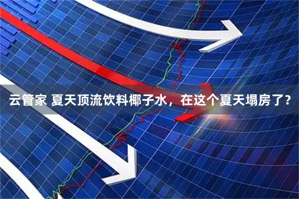 云管家 夏天顶流饮料椰子水，在这个夏天塌房了？