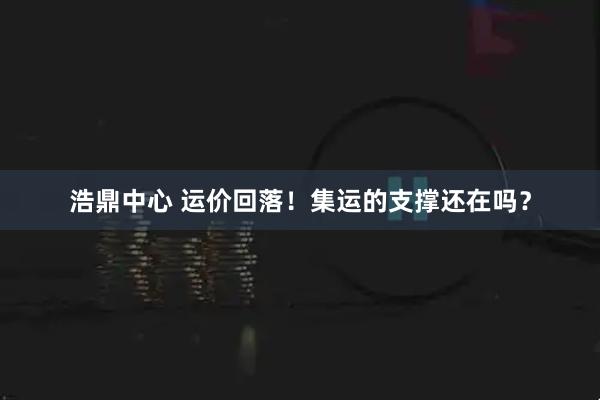 浩鼎中心 运价回落！集运的支撑还在吗？